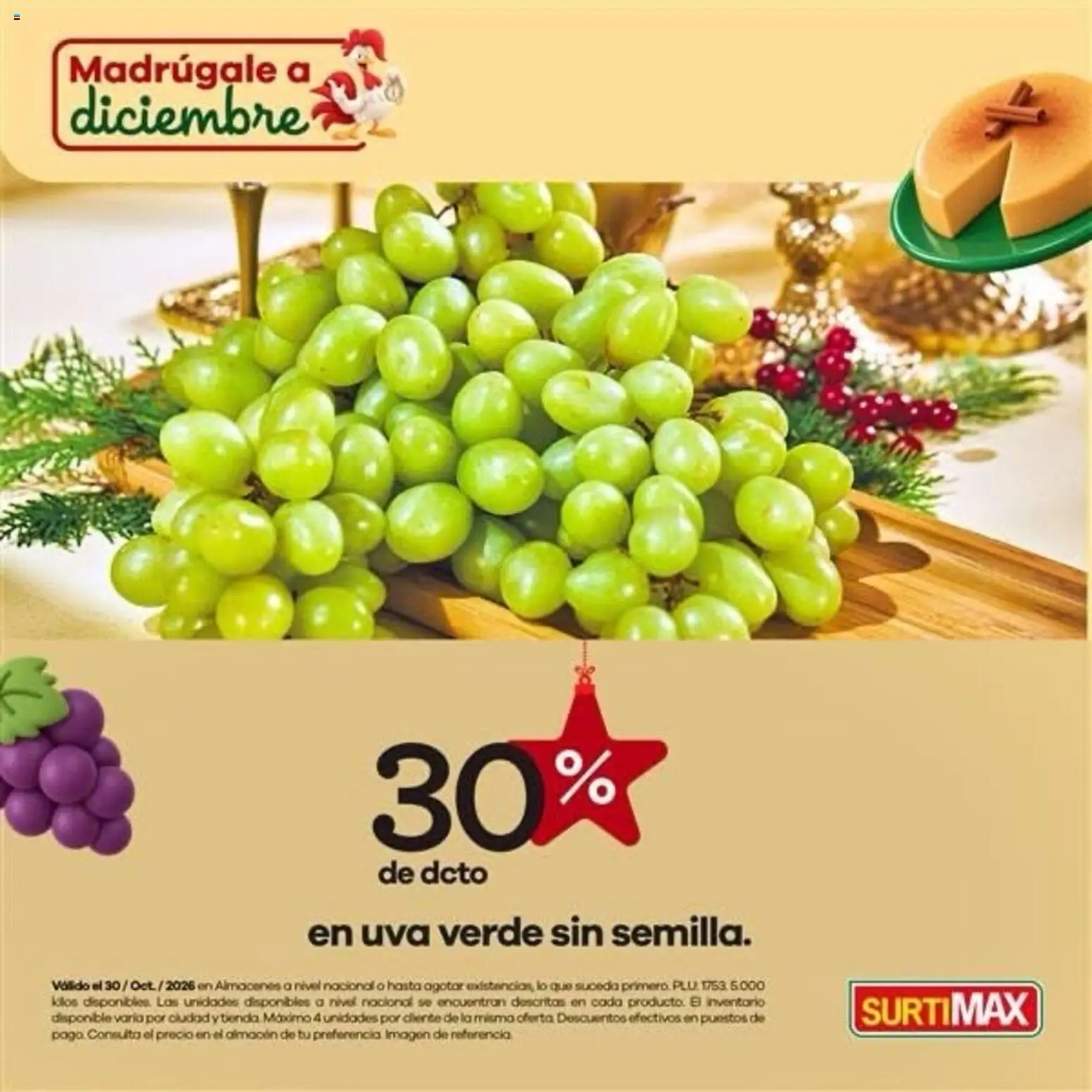 Surtimax revista - valida desde el 30/10/2026 | Página: 2