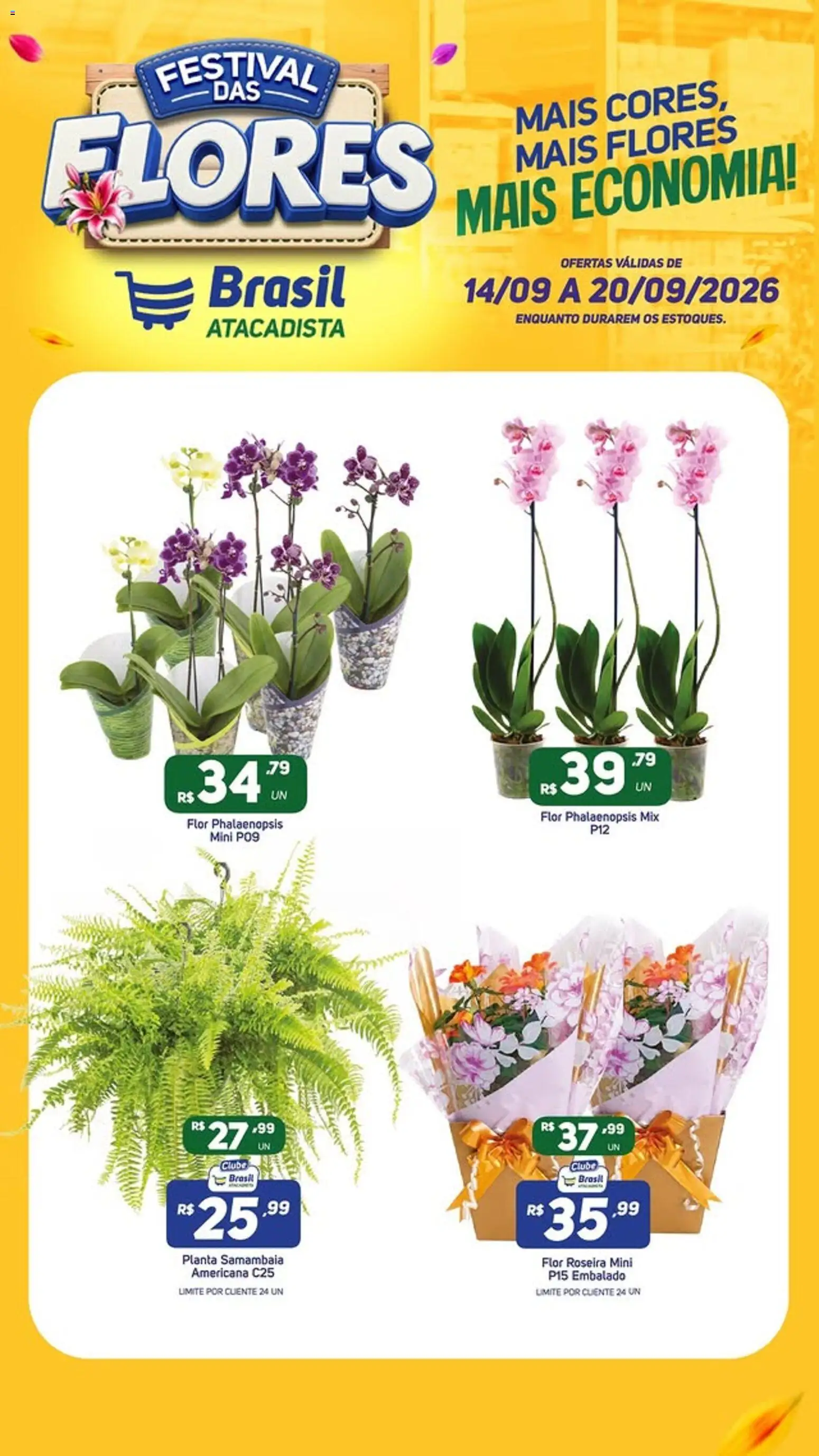 Brasil Atacadista Folheto - válido de 14/09/2026 | Página: 3 | Produtos: Flores