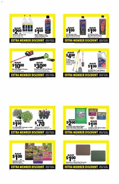 Preview of Bi-Mart weekly ads valid from 09/14/2026 | Page: 7 | Products: Kale, Battery, Cabbage, Gear Oil