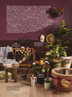 Preview of Bunnings Catalogue Mother's Day - valid from 24.04.2026 | Page: 7 | Products: Vase, Herb, Cheese, Cap