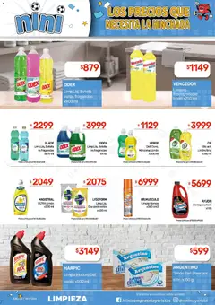 Vista previa NINI Mayorista ofertas válido desde el 29/06/2026 | Página: 10