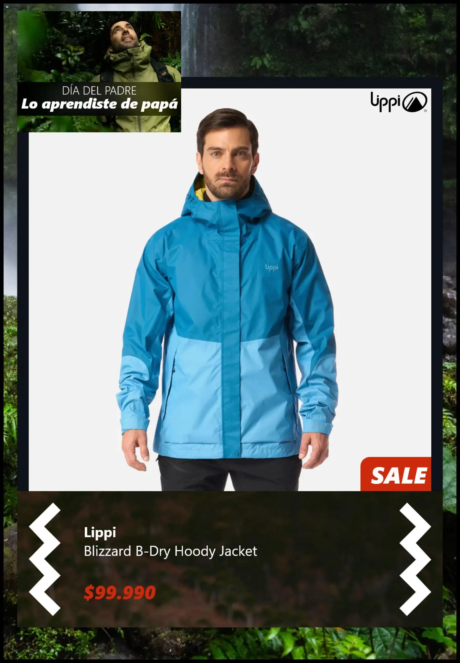 Lippi Ofertas │ válido desde el 11.06.2026 | Página: 5 | Productos: Papa