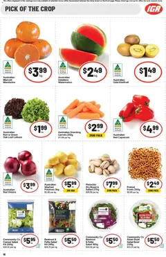 Preview of IGA catalogue - valid from 29/07/2026 | Page: 14