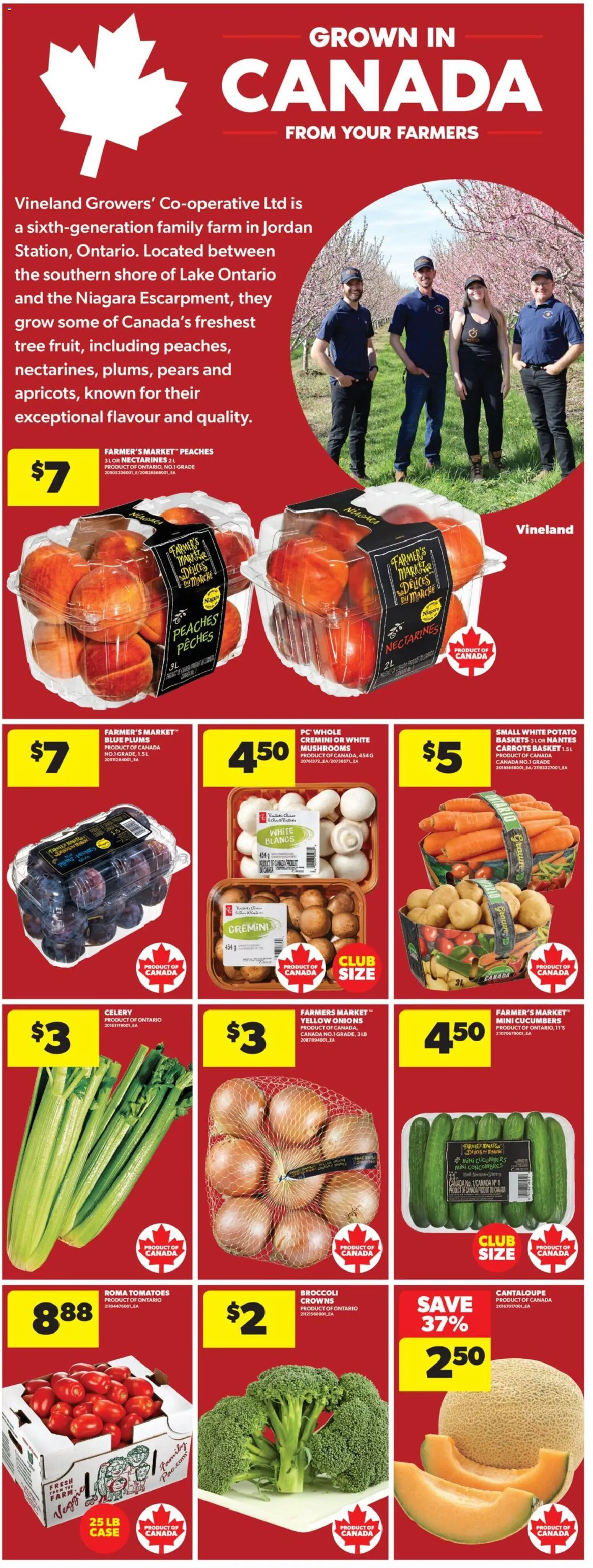 Real Canadian Superstore flyer valid from Aug 20, 2026 | Page: 11 | Products: Cucumbers, Case, Celery, Pears
