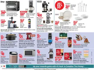 Preview of Canadian Tire weekly flyer from shop Canadian Tire valid from 11.06.2026 | Page: 18
