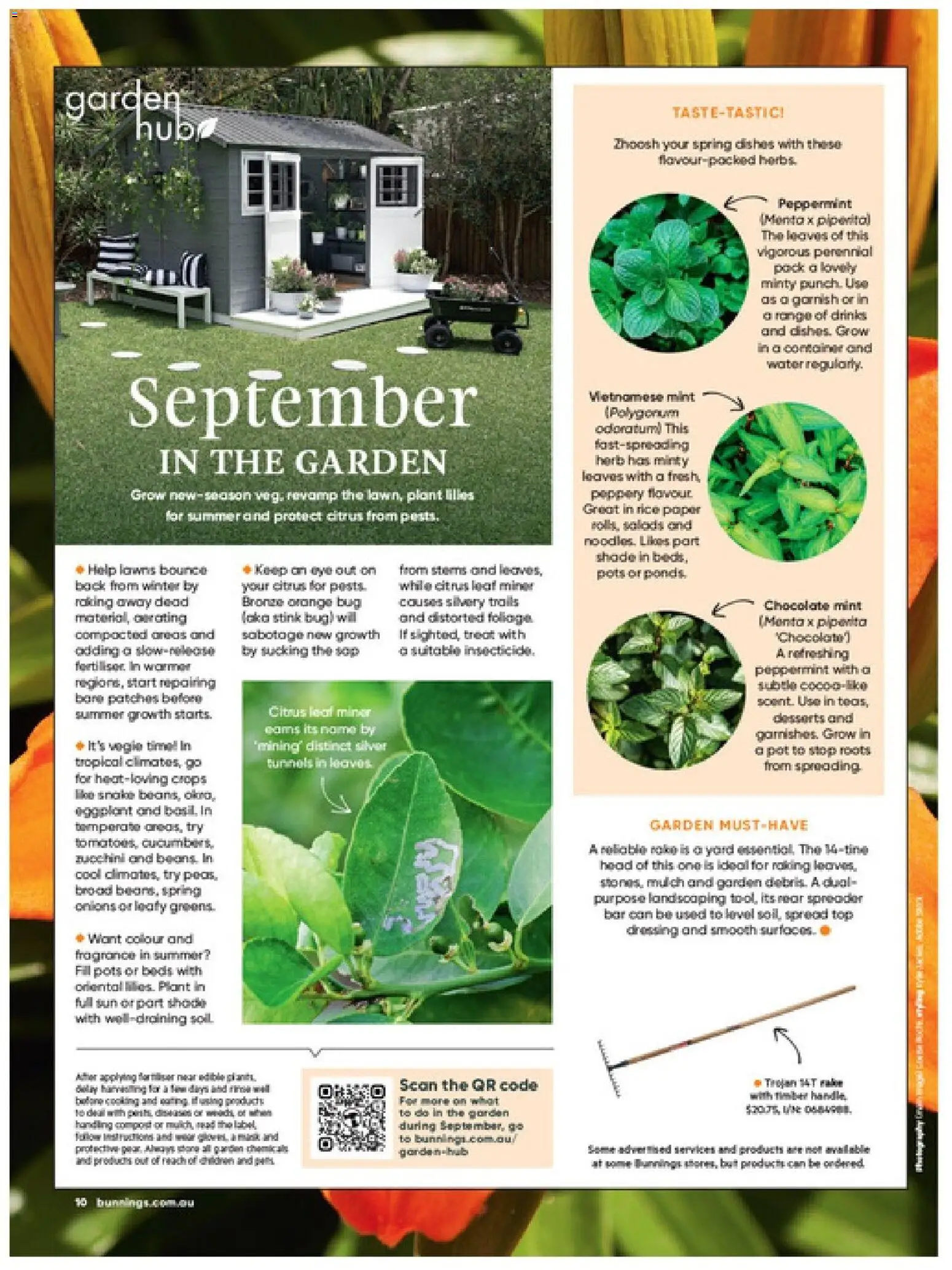 Bunnings Warehouse catalogue - valid from 01/09/2026 | Page: 10 | Products: Fragrance, Dressing, Zucchini, Citrus
