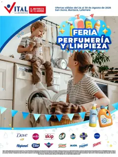Vista previa Vital - Especial de limpieza válido desde el 24/08/2026