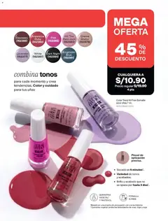 Vista previa de folleto Avon catálogo  - Campaña 15 de la Avon válido desde 15/09/2026 | Página: 231 | Productos: Pincel