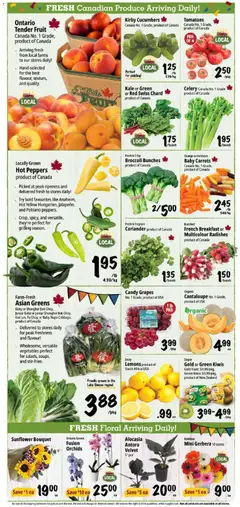 Preview of Farm Boy weekly flyer / circulaire from shop Farm Boy valid from Jul 30, 2026 | Page: 4