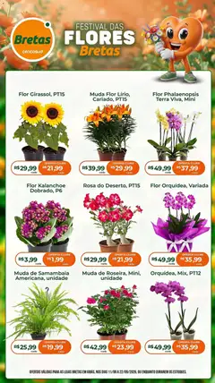 Bretas ofertas Flores - Pré-Visualização do folheto da loja Bretas, válido de 11/09/2026