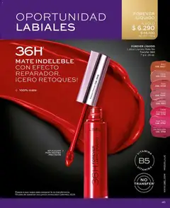 Catálogo L'Bel Campaña 9 válido desde el 17.05.2026 | Página: 45 | Productos: Maquillaje, Mate, Labial