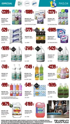 Vista previa Yaguar - Especial Limpieza Santa Fé válido desde el 20.04.2026 | Página: 4 | Productos: Lavavajillas, Jabón, Detergente, Agua