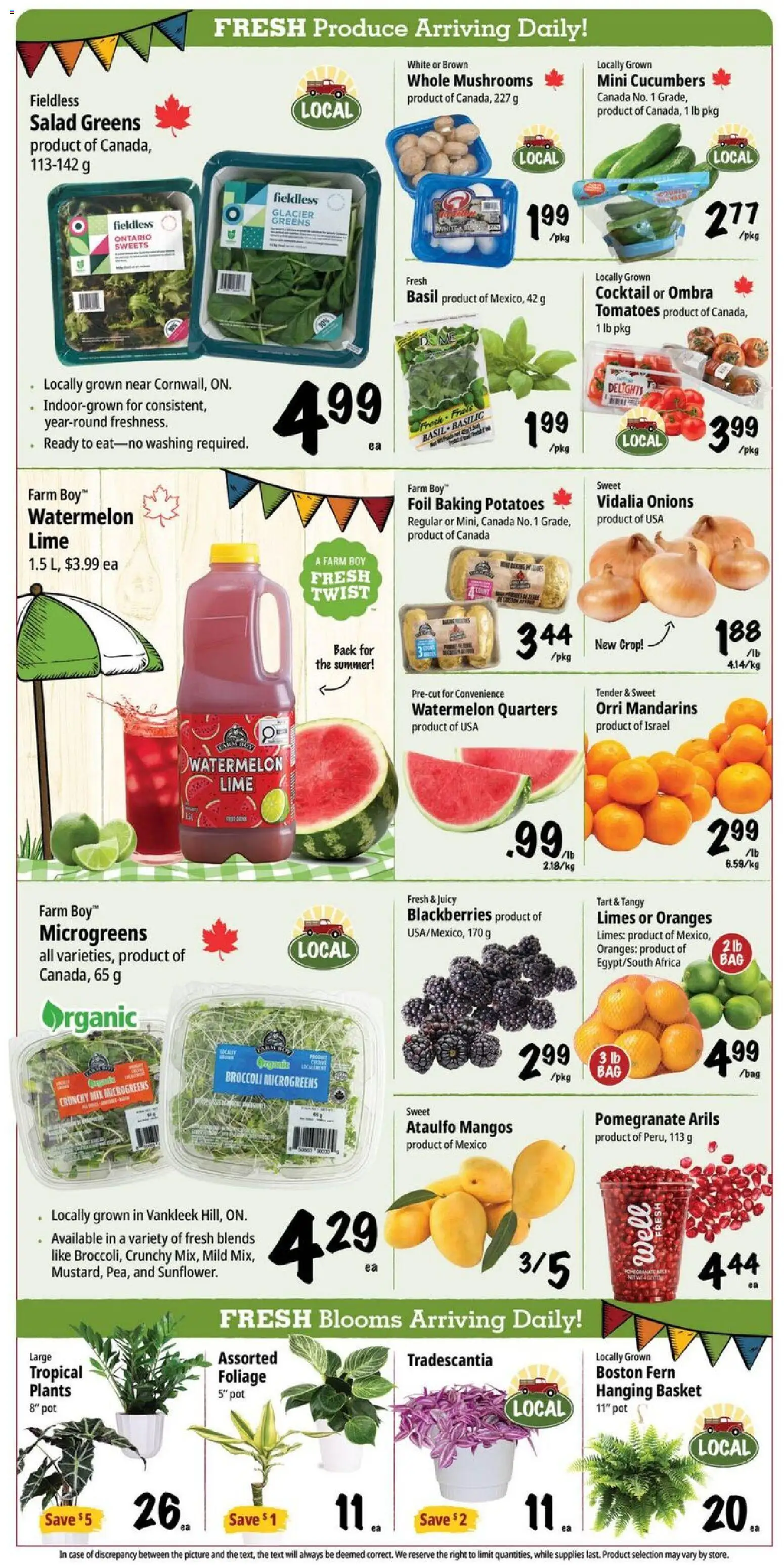 Farm Boy flyer valid from 14.05.2026 | Page: 4 | Products: Salad, Potatoes, Case, Basket