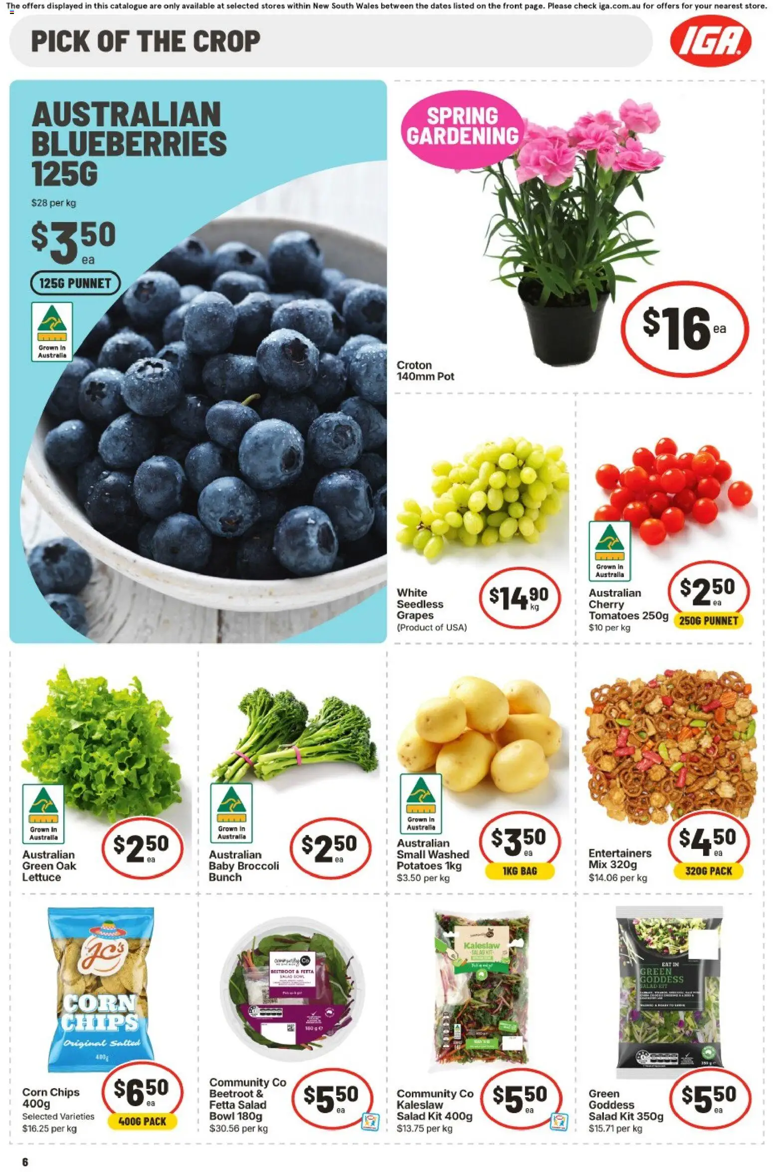 IGA catalogue - valid from 16/09/2026 | Page: 7 | Products: Pot, Lettuce, Grapes, Blueberries