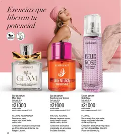 Vista previa Millanel - Catálogo válido desde el 17/08/2026 | Página: 22 | Productos: Pimienta, Esencias