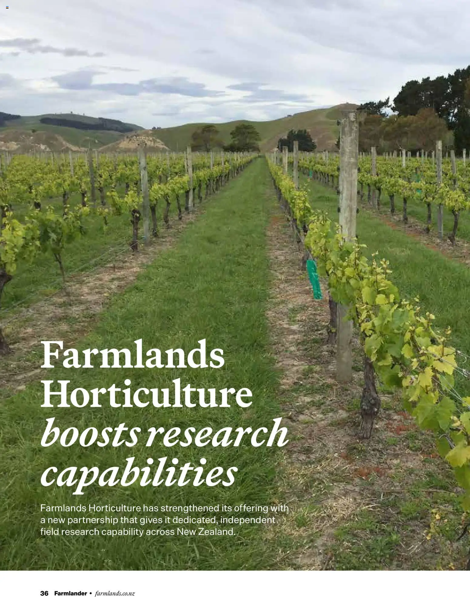 Farmlands catalogue from 11.06.2026 | Page: 38