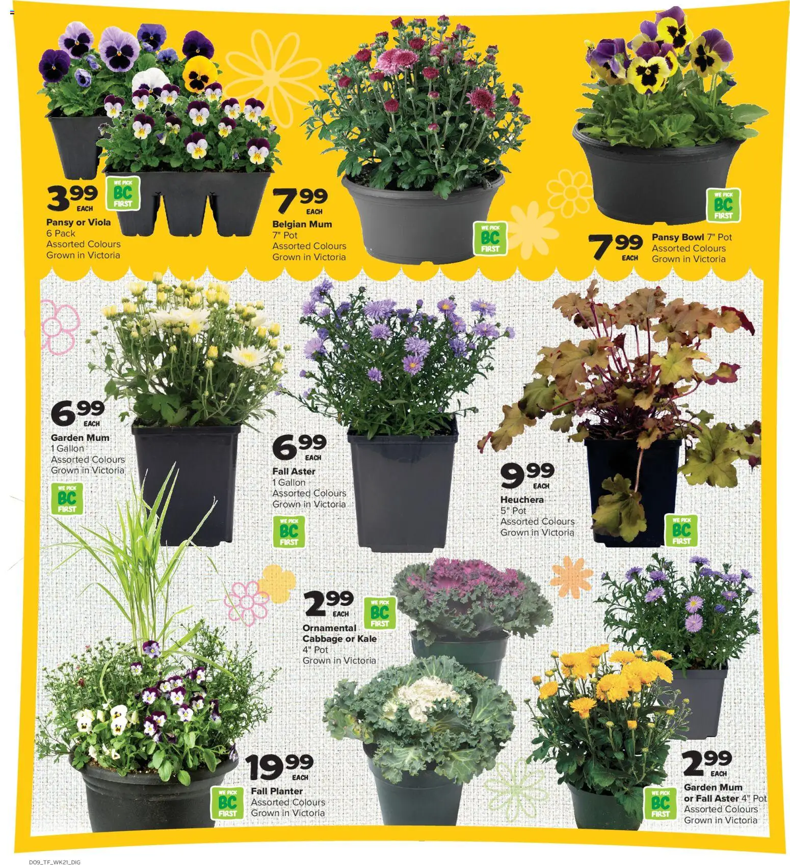 Thrifty Foods flyer valid from Sep 17, 2026 | Page: 16