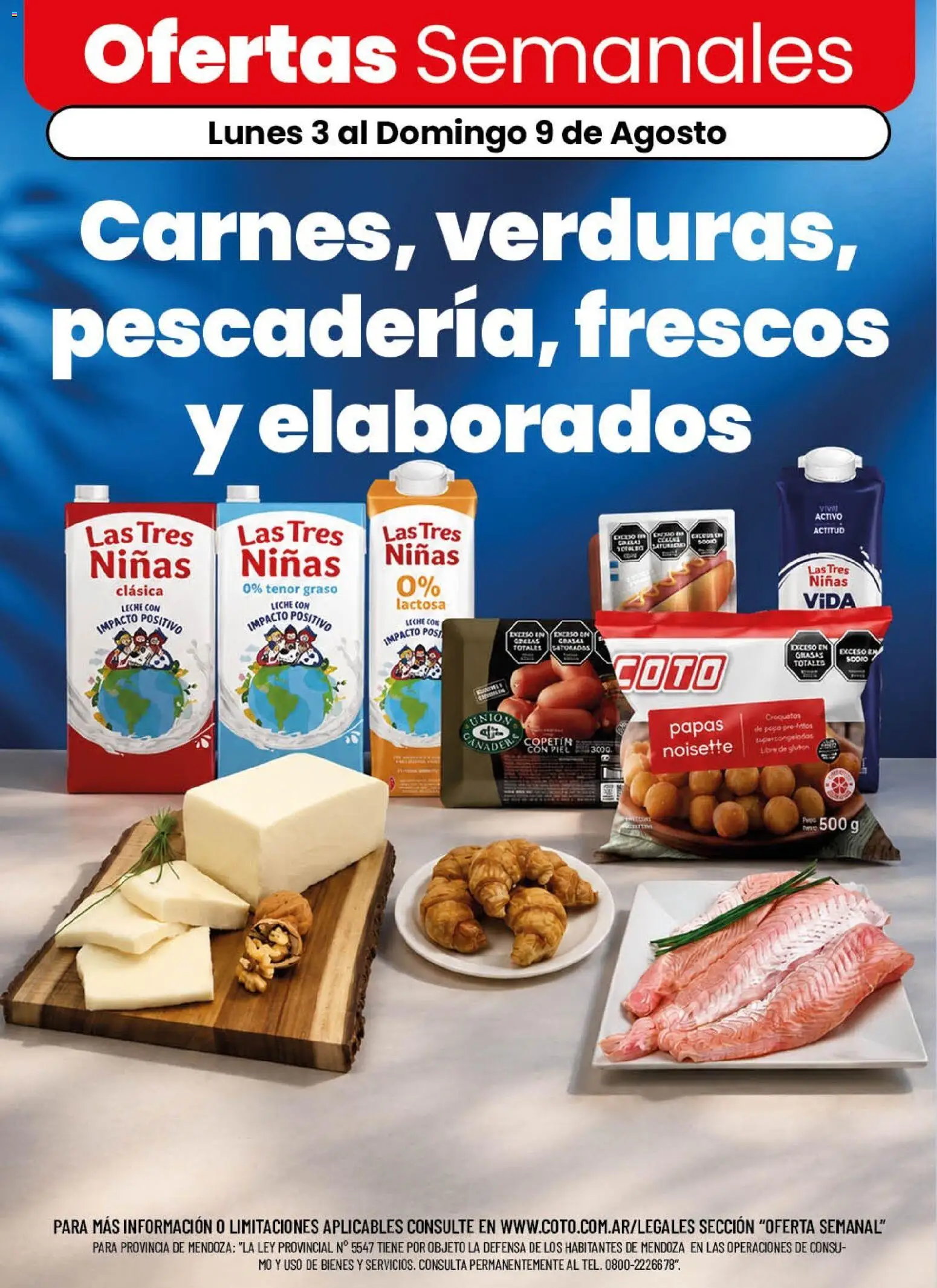 Coto - Ofertas │ válido desde el 01/08/2026 | Página: 1 | Productos: Leche