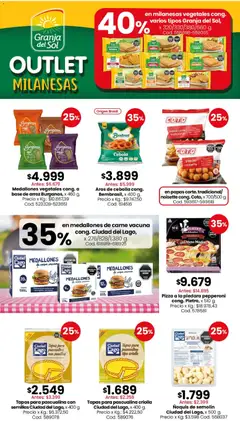 Vista previa Tapas para pascualina con semillas Ciudad del Lago, x 400 g., Tapas para pascualina con semillas Ciudad del Lago, x 400 g. válido desde el 01/08/2026 | Página: 7 | Productos: Peso, Cebolla, Semillas, Pizza