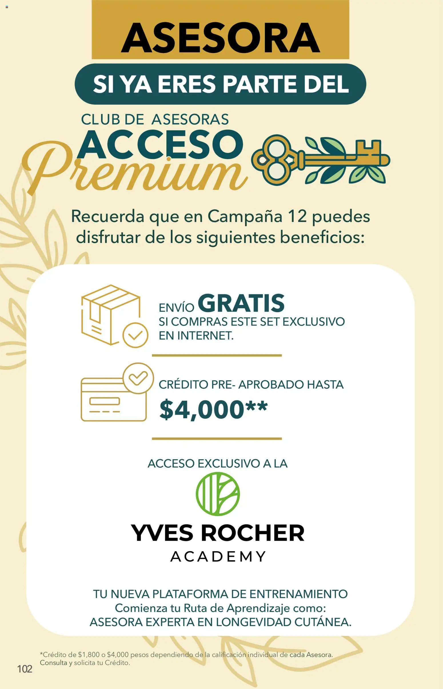 Nuevas ofertas de Yves Rocher válidas en toda la República Mexicana desde el 25/08/2026. ¡Encuentra las mejores ofertas en Yves Rocher campaña 12 2026! | Página: 104 | Productos: Campana