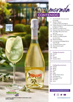 Vista previa de Bodegas Alianza catálogo, nuevo folleto de la tienda, válido en México a partir del 01/07/2026 | Página: 3