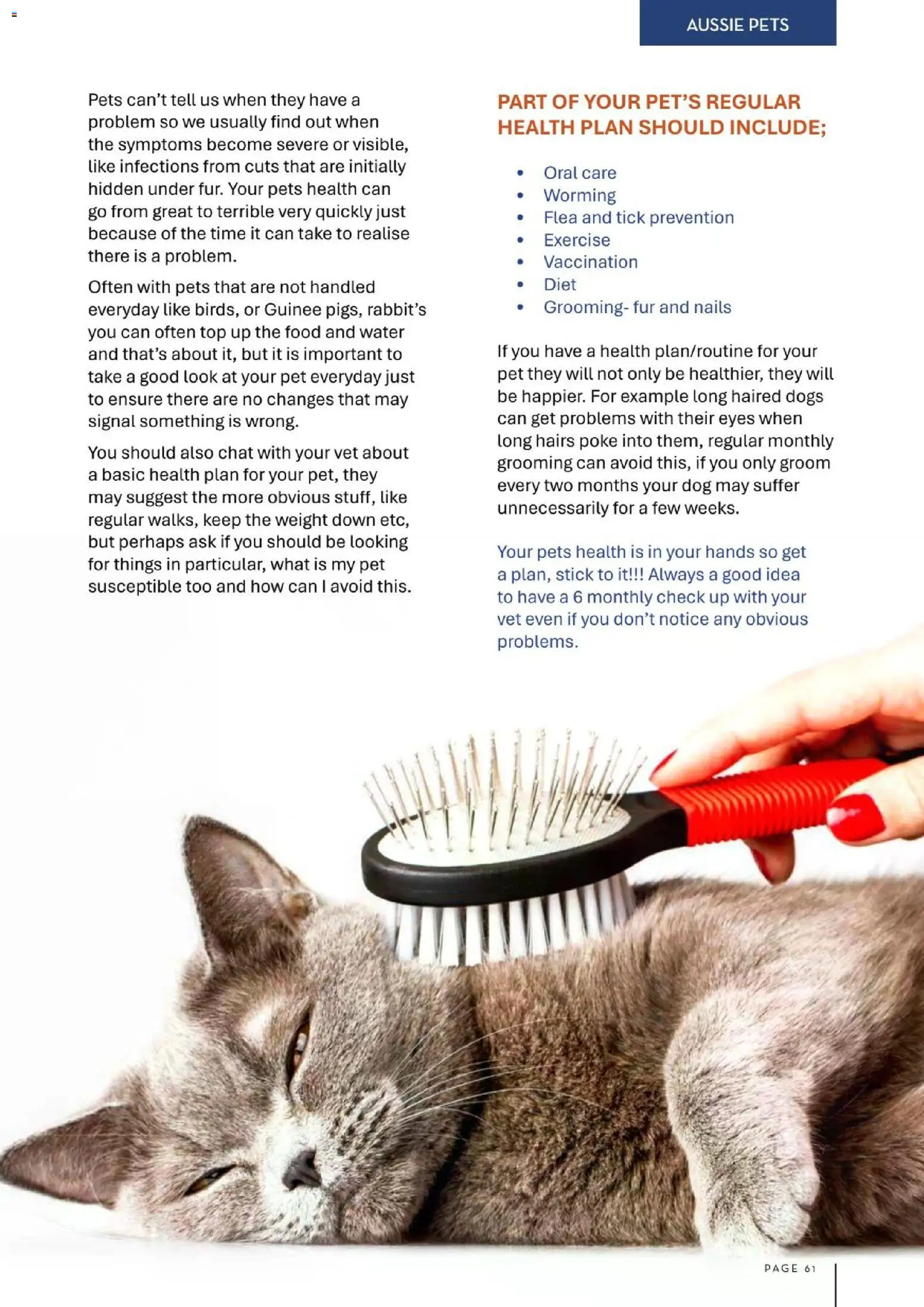 Foodworks catalogue - valid from 01/08/2026 | Page: 61 | Products: Food, Fur, Water, Weight