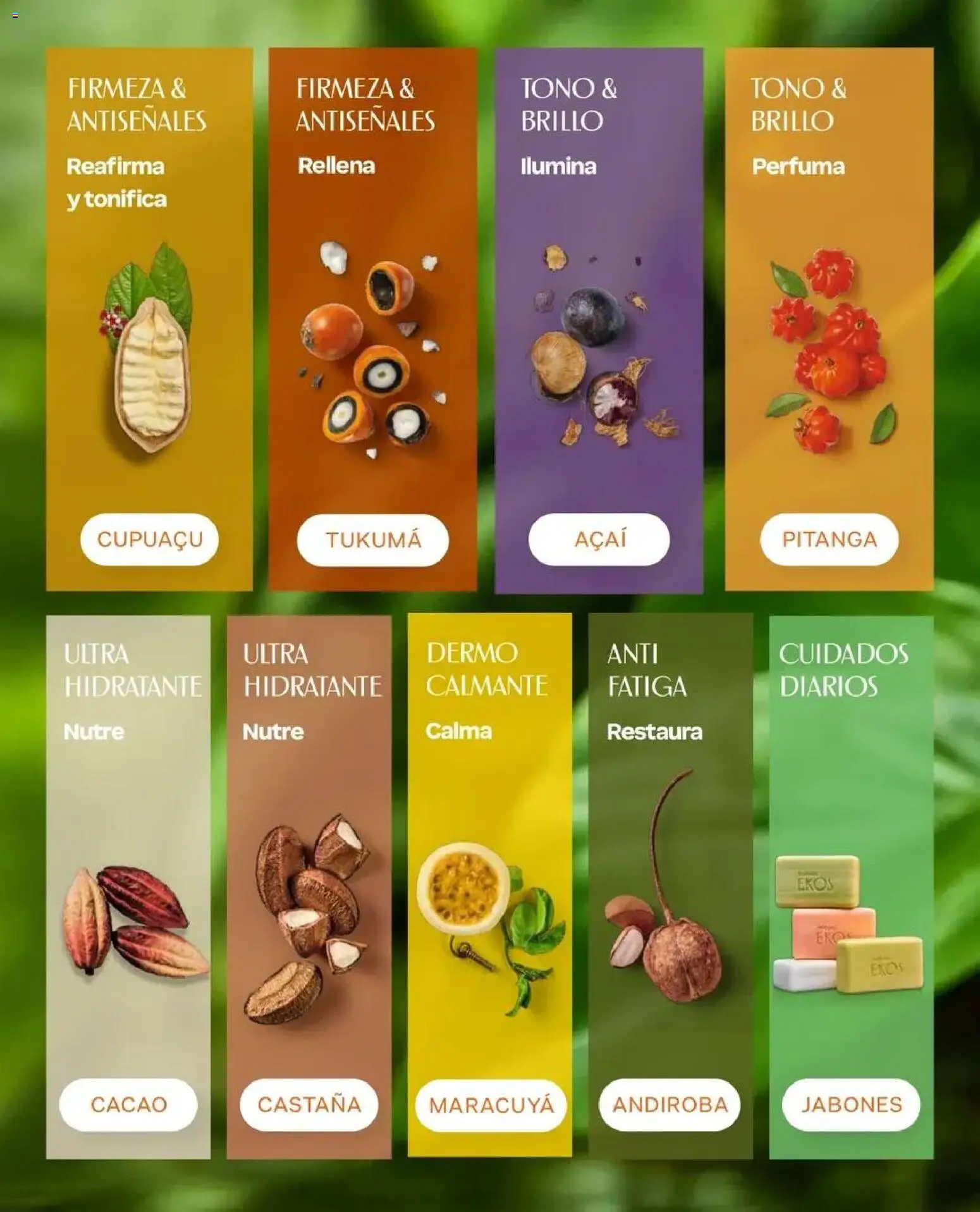 Natura catálogo │ válido desde el 31.08.2026 | Página: 138 | Productos: Brillo, Cacao