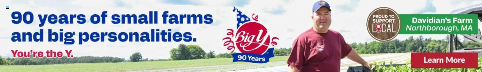 Big Y Weekly Ad - valid from 06/25/2026 | Page: 9