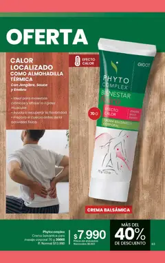 Vista previa Gigot - CAMPAÑA 10 válido desde el 18.06.2026 | Página: 85 | Productos: Térmica, Crema