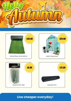 Preview of Cheap as Chips catalogue - valid from 21.05.2026 | Page: 4 | Products: Weed, Greenhouse