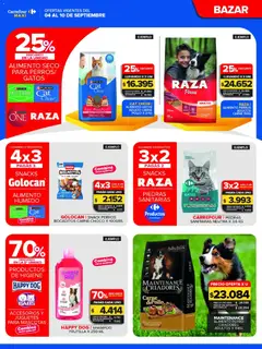 Vista previa Carrefour Maxi catálogo válido desde el 04/09/2026 | Página: 11