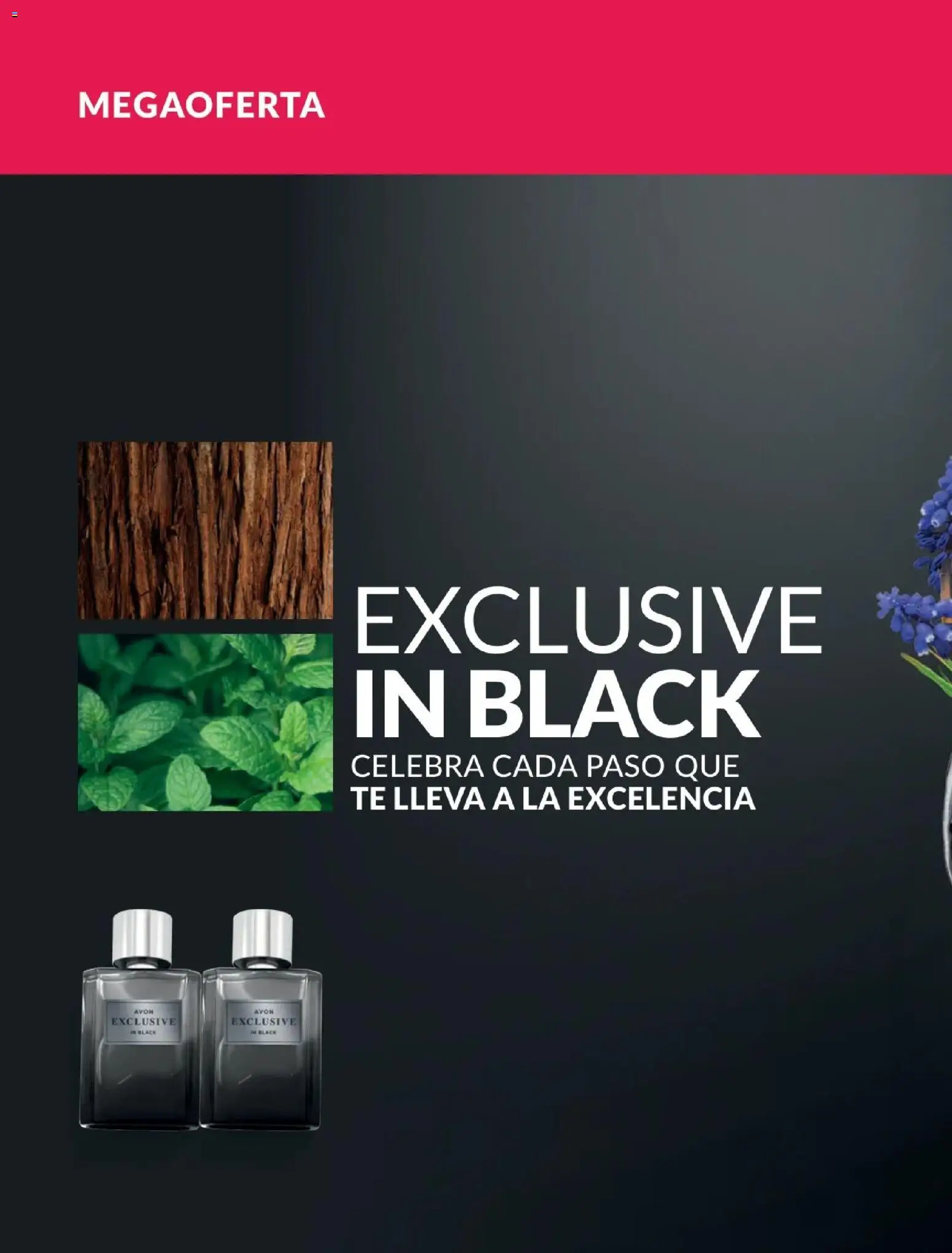 Catálogo Avon válido desde 21/04/2026 | Página: 90 | Productos: Té