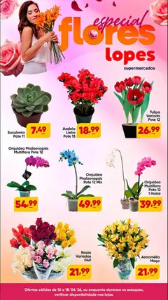 Lopes Supermercados ofertas Flores - Pré-Visualização do folheto da loja Lopes Supermercados, válido de 16.06.2026