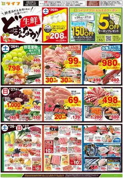 2026/09/26から有効なオファーを含む ライフ 鎌倉市 - 9/26号 生鮮どまんなか！