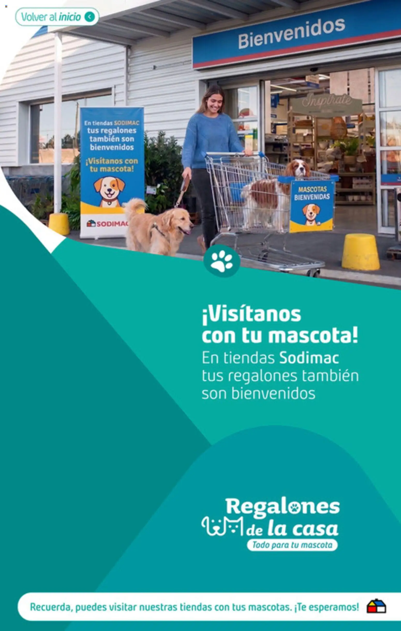 Sodimac Ofertas │ válido desde el 02.08.2026 | Página: 5
