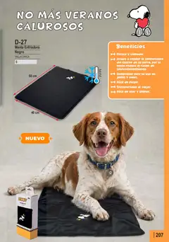 Lady Genny Ofertas válido desde el 31.08.2026 | Página: 209 | Productos: Manta