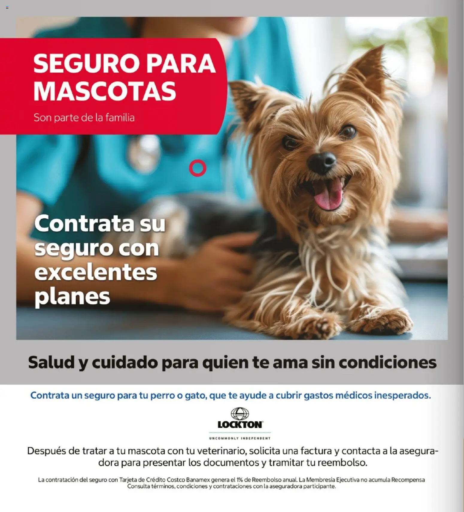 Nuevas ofertas de Costco válidas en toda la República Mexicana desde el 26/10/2026. ¡Encuentra las mejores ofertas en Costco catálogo Teasure Hunt! | Página: 4