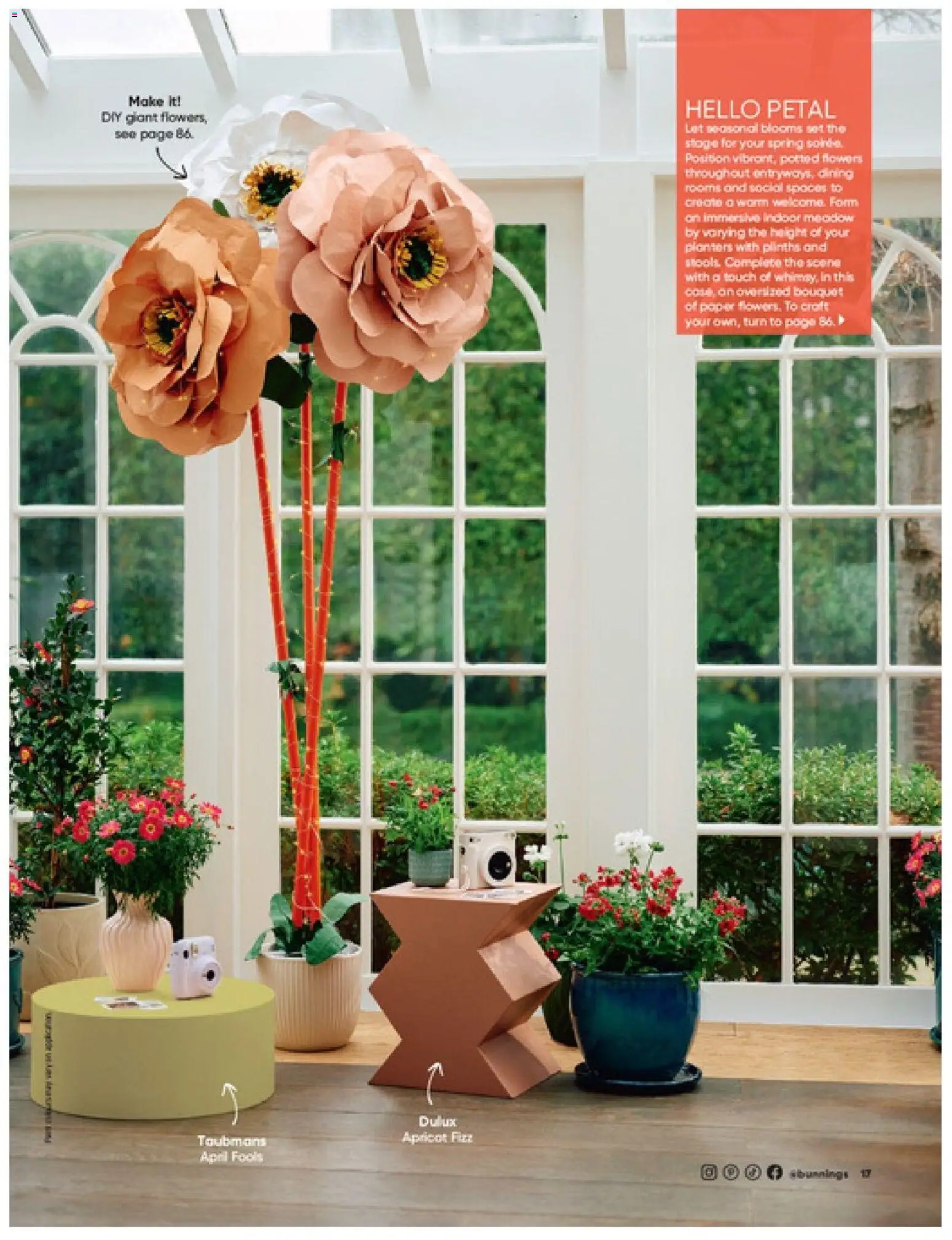 Bunnings Warehouse catalogue - valid from 01/09/2026 | Page: 17 | Products: Flowers