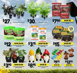 Preview of Drakes catalogue - valid from 16/09/2026 | Page: 23 | Products: Garden hose, Herb, Tap, Fruit