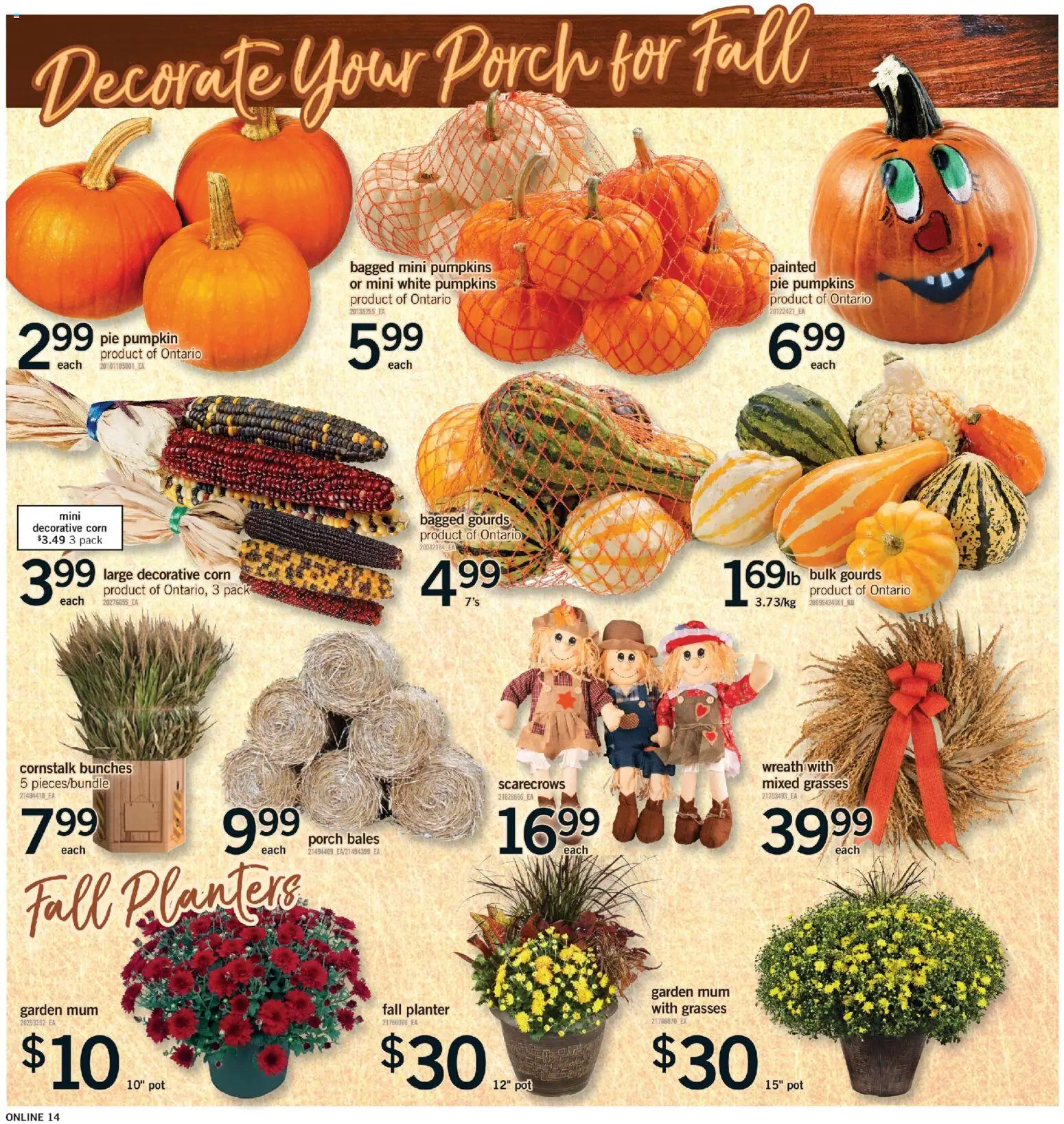 Fortinos flyer valid from Sep 17, 2026 | Page: 13 | Products: Corn, Pumpkin