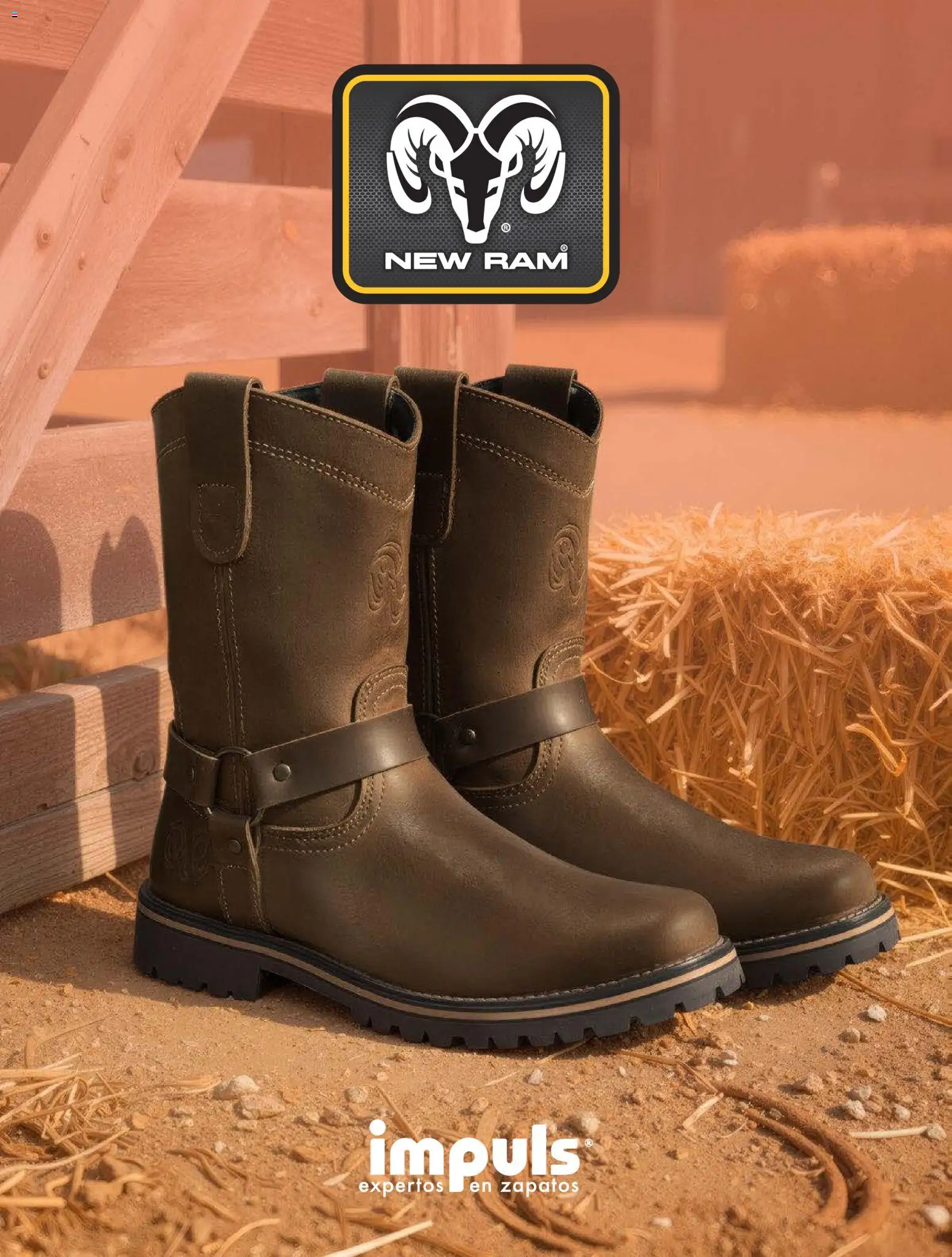 Nuevas ofertas de Impuls válidas en toda la República Mexicana desde el 01.01.2026. ¡Encuentra las mejores ofertas en Impuls catálogo Caballero! | Página: 186 | Productos: Zapatos