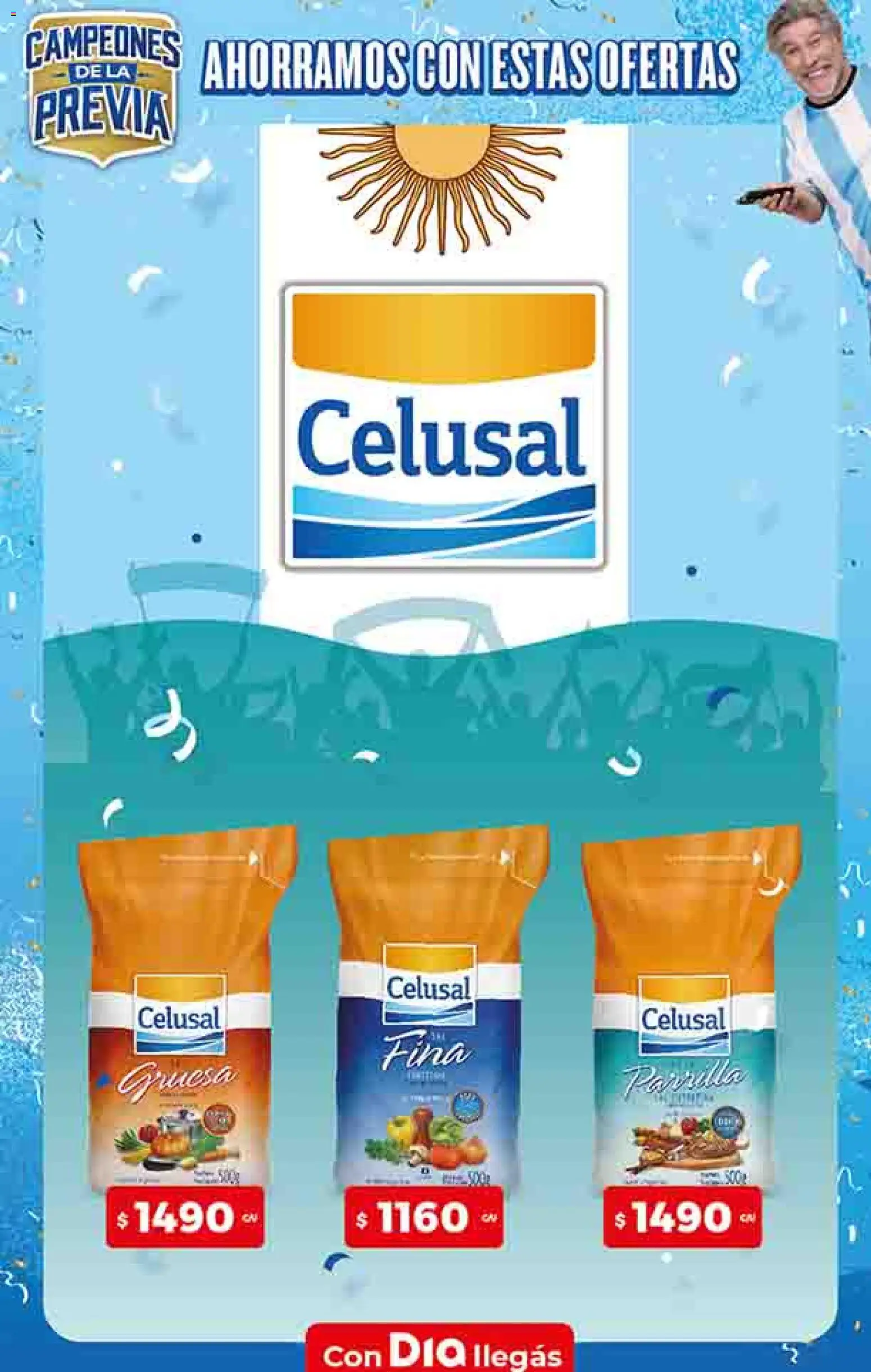 Dia - Ofertas - Excluye Salta y Jujuy │ válido desde el 06.05.2026 | Página: 32 | Productos: Parrilla