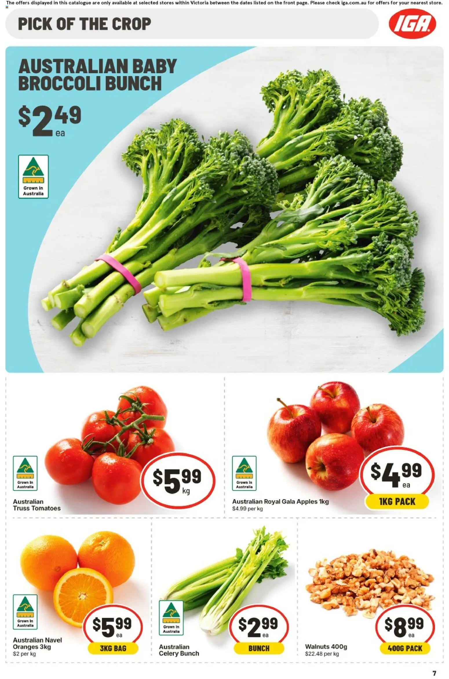 IGA catalogue - valid from 14/10/2026 | Page: 8