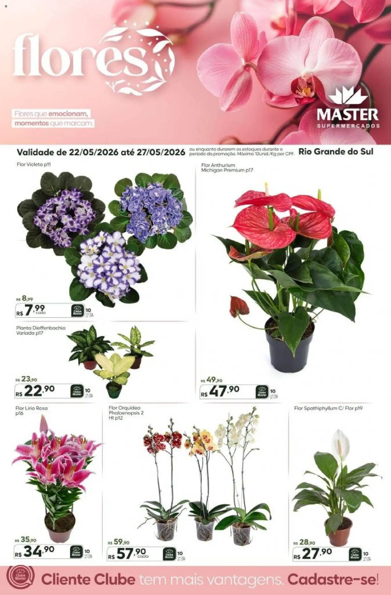 Master Folheto - válido de 22.05.2026 | Página: 1 | Produtos: Flores