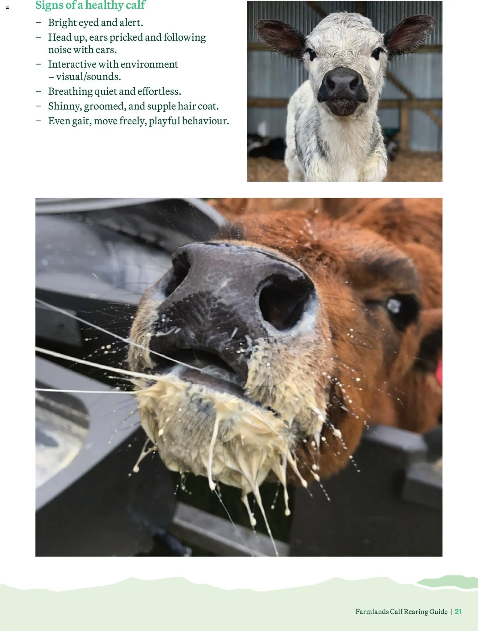 Farmlands catalogue from 04.06.2026 | Page: 21