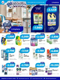 Vista previa Vital - Ofertas válido desde el 01.06.2026 | Página: 6