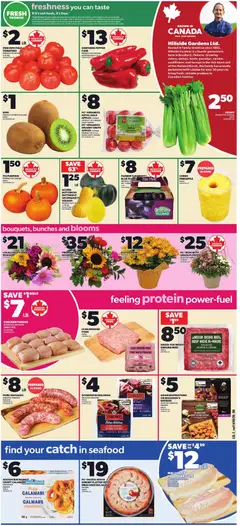 Preview of Loblaws weekly flyer / circulaire from shop Loblaws valid from Sep 17, 2026 | Page: 3