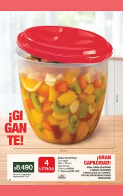 Vista previa Gigot - CAMPAÑA 12 válido desde el 31/07/2026 | Página: 146 | Productos: Bowl, Freezer