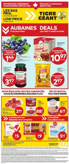 Preview of Giant Tiger weekly flyer / circulaire from shop Giant Tiger valid from 27.05.2026