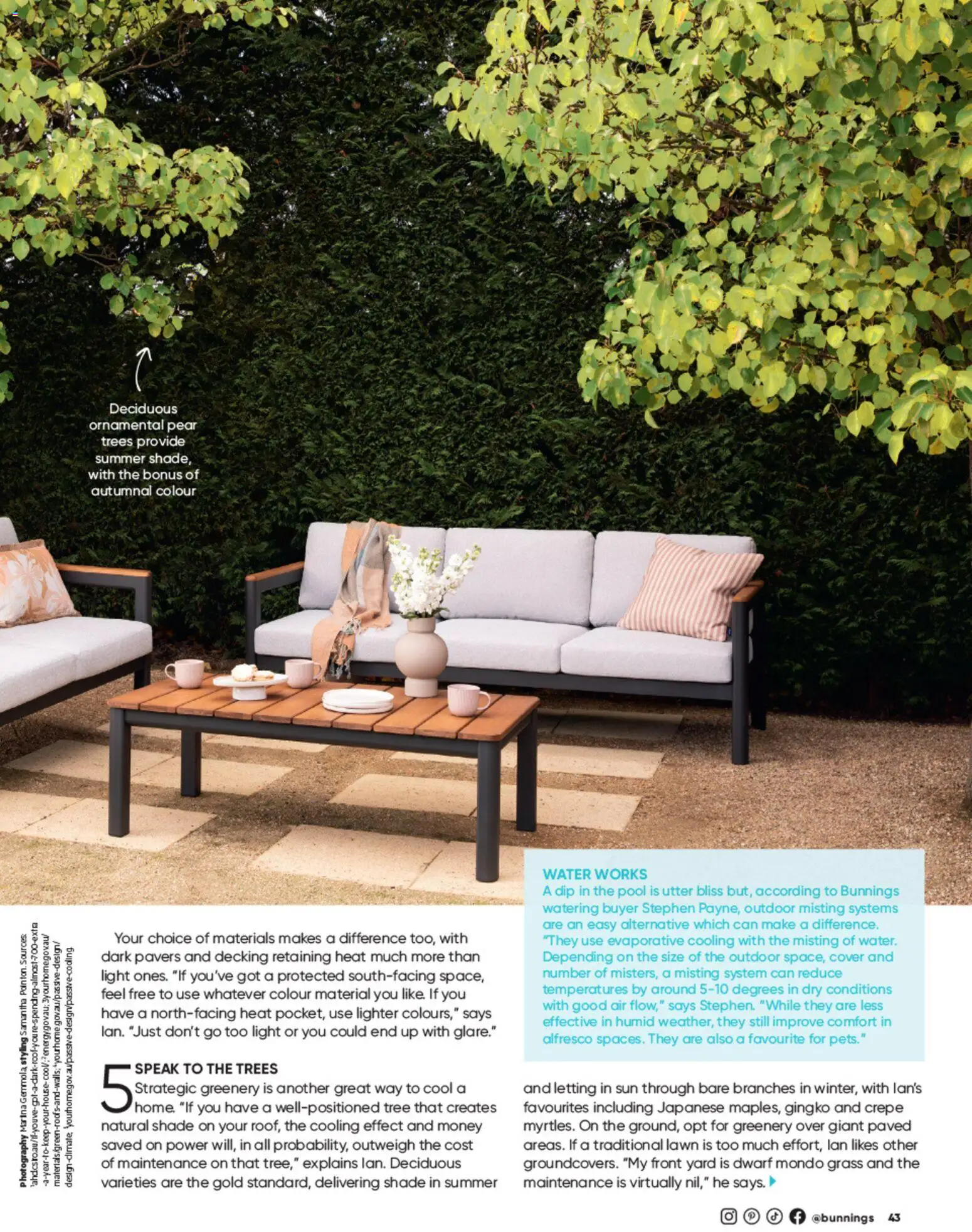 Bunnings Warehouse catalogue - valid from 01/10/2026 | Page: 43 | Products: Grass, Light, Decking, Pear